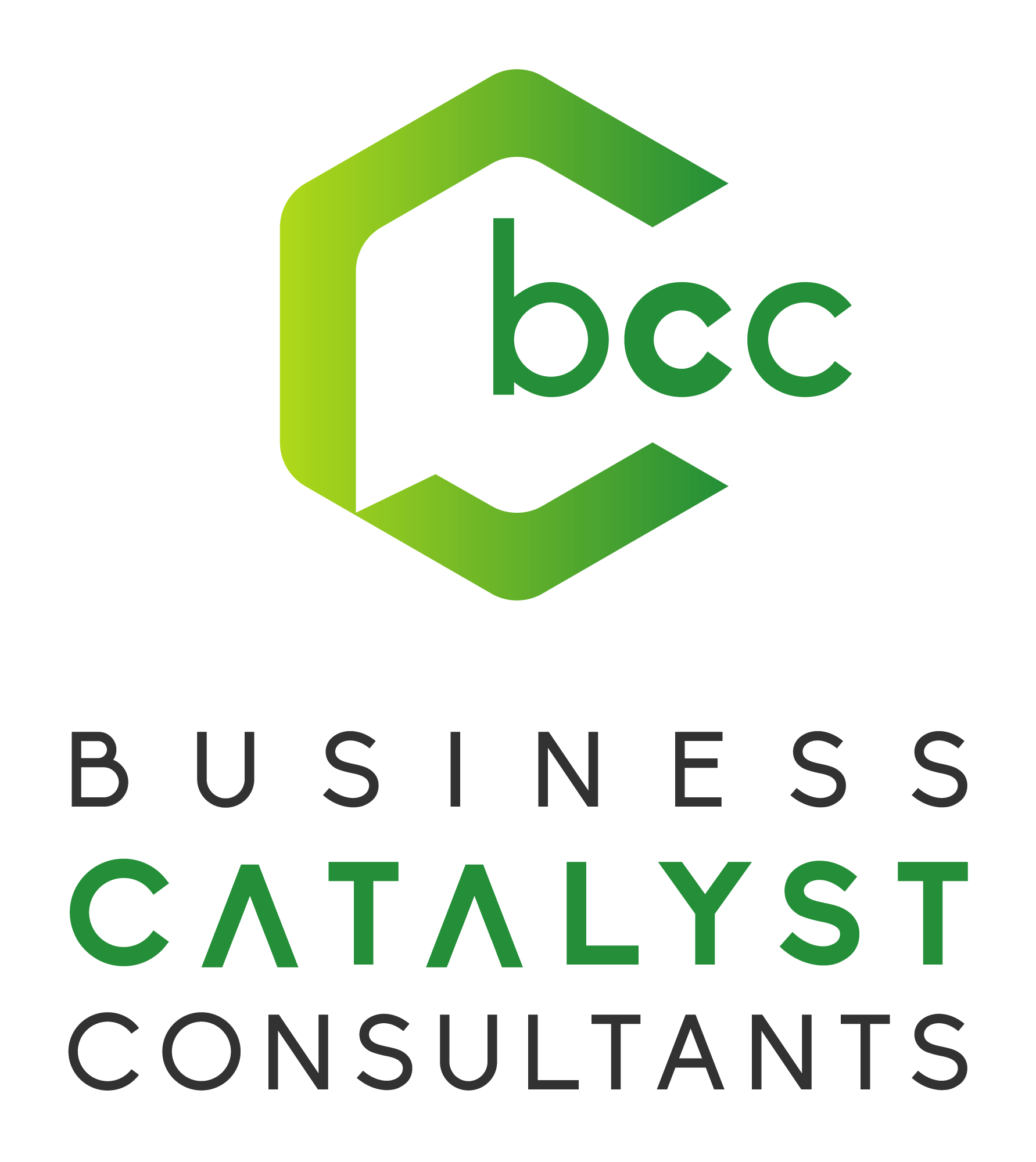 business catalyst consultants logo